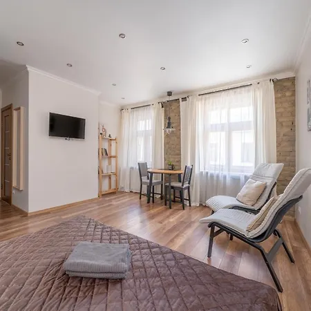 Top-floor With Courtyard View In Unesco Area, Murnieku Street アパート リガ