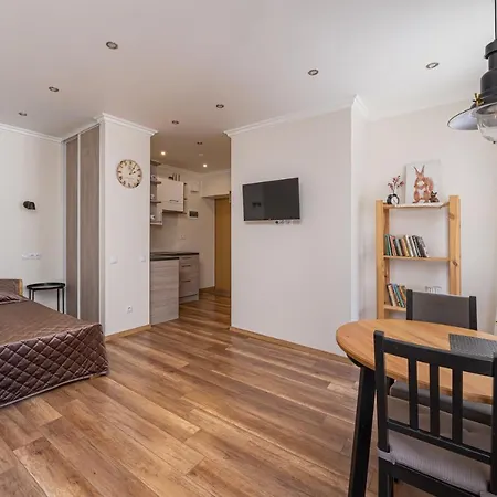 Top-floor With Courtyard View In Unesco Area, Murnieku Street アパート リガ