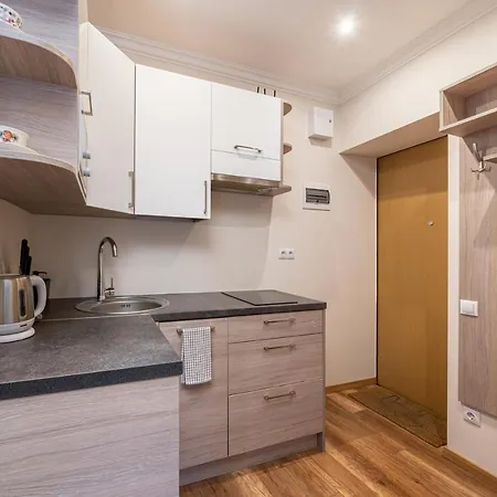 Top-floor With Courtyard View In Unesco Area, Murnieku Street