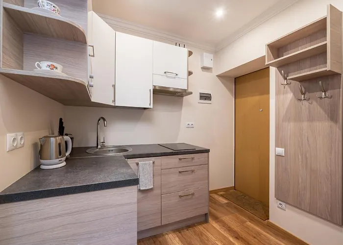 Top-floor With Courtyard View In Unesco Area, Murnieku Street